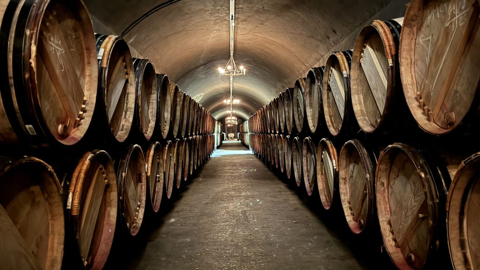 Chais voûtés et barriques du château Mouton Rothschild à Pauillac